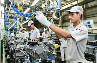 農(nóng)村8090后為何棄工廠轉(zhuǎn)戰(zhàn)旅游業(yè)